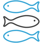 생선 및 해산물 icon